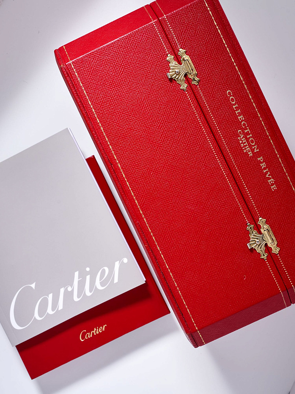 Tortue Collection Privée 2518C Platinum