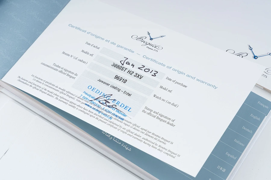 Type XXII 10Hz Chronograph GMT Ref. 3880 in Stainless Steel