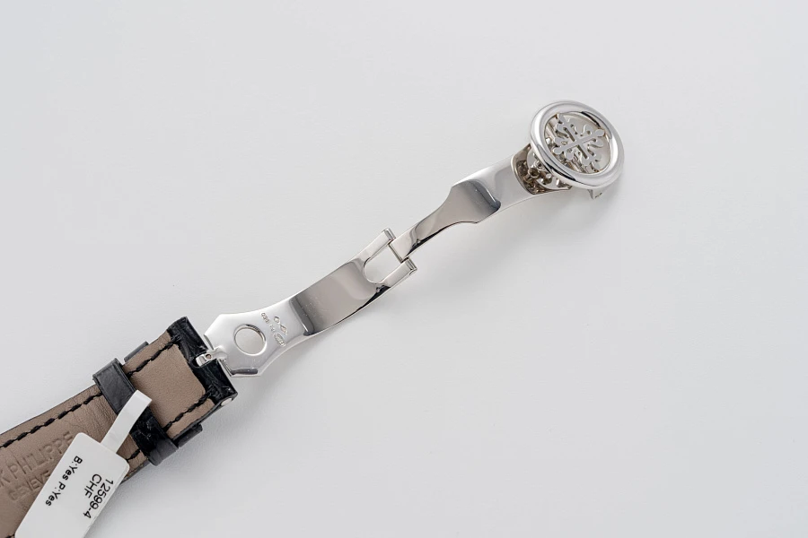 Perpetual Calendar Ref. 5496P in Platinum