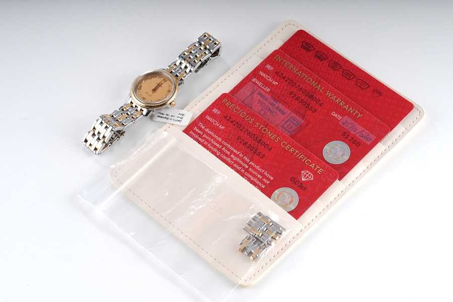 DeVille in Stainless Steel and 18k Yellow Gold