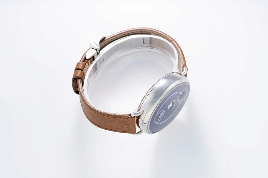 Pallweber Enamel Dial Ref. IW505003 in Stainless Steel