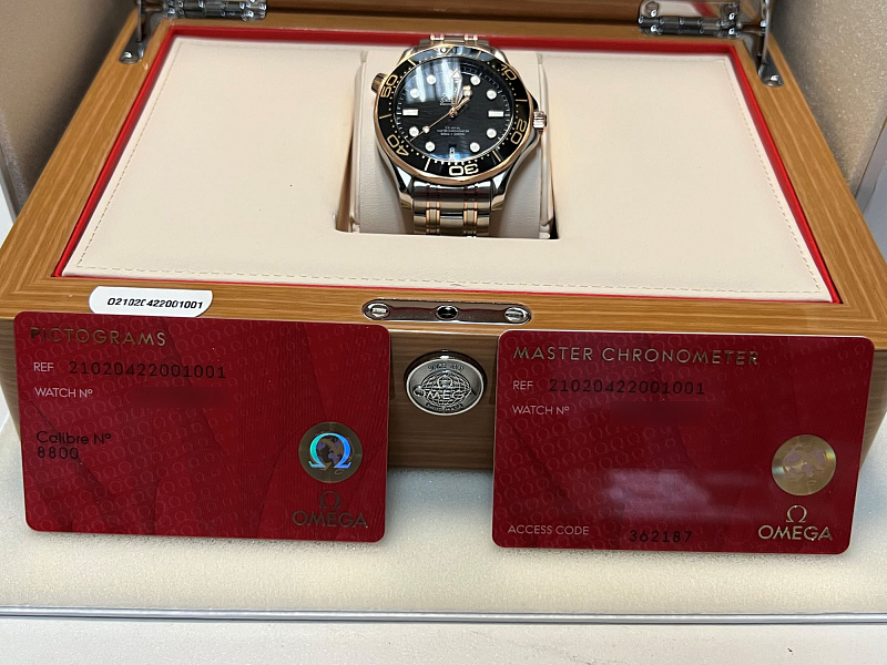 Seamaster Professional Diver 300m Steel & Gold