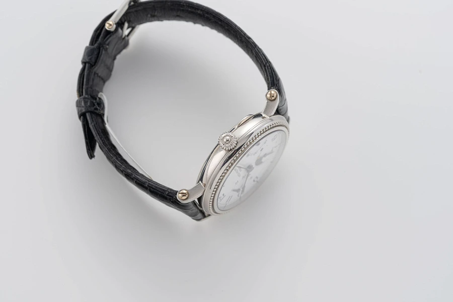 Calatrava Ref. 5015P in Platinum