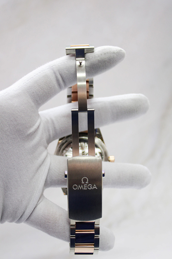 Seamaster 300 Master Co-axial Chronometer Steel & Sedna Gold