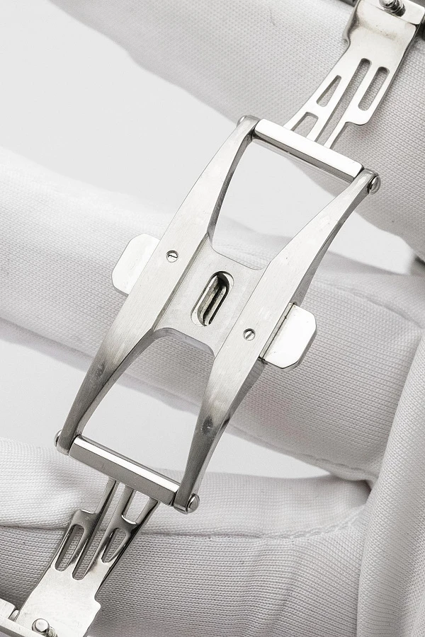 Audemars Piguet Dual Time