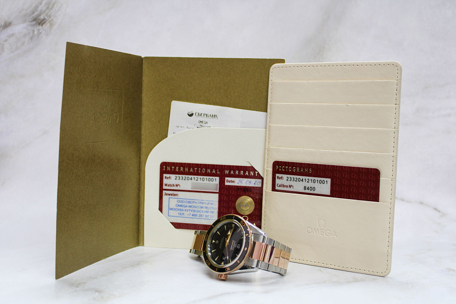 Seamaster 300 Master Co-axial Chronometer Steel & Sedna Gold