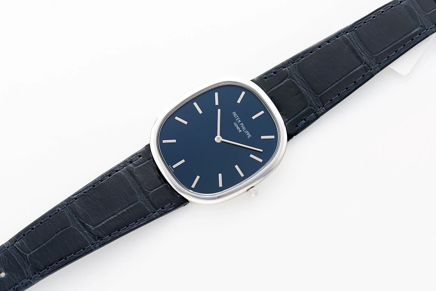 Ellipse Ref. 5738 in Platinum