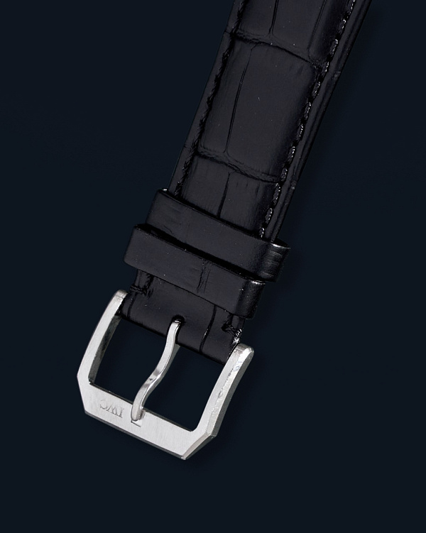 Limited Edition Portuguese Regulateur Ref. IW544403 in Platinum