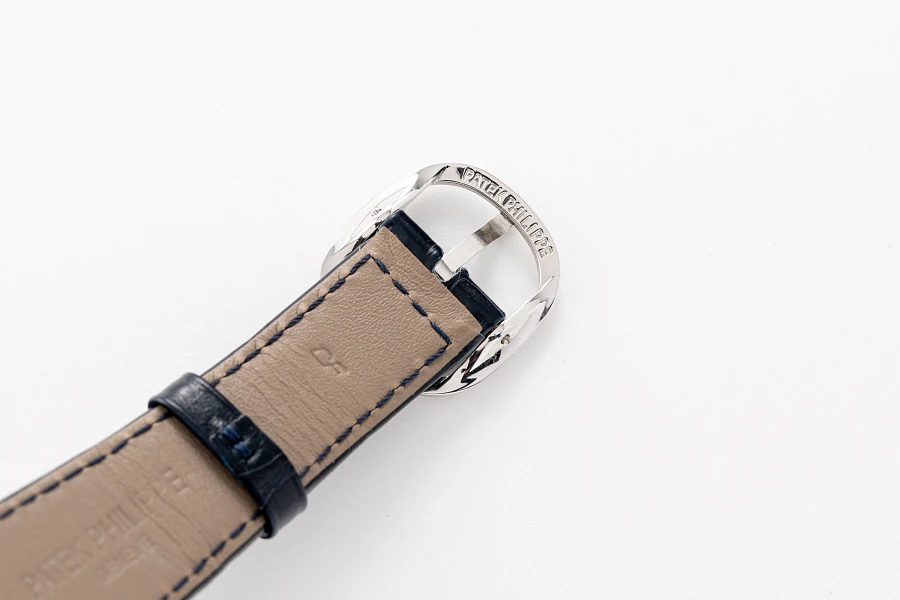 Ellipse Ref. 5738 in Platinum