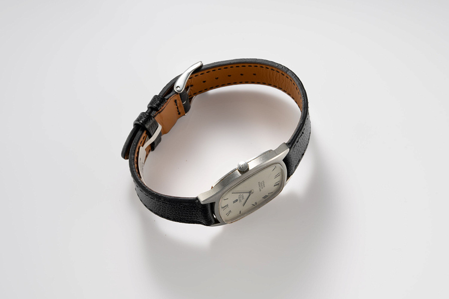 White Shadow Ref. 866105 in Stainless Steel