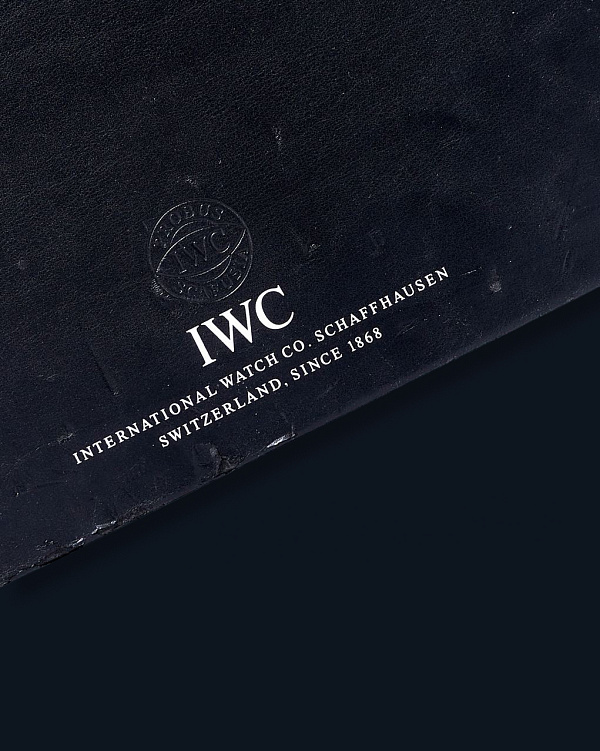 Limited Edition Portuguese Regulateur Ref. IW544403 in Platinum