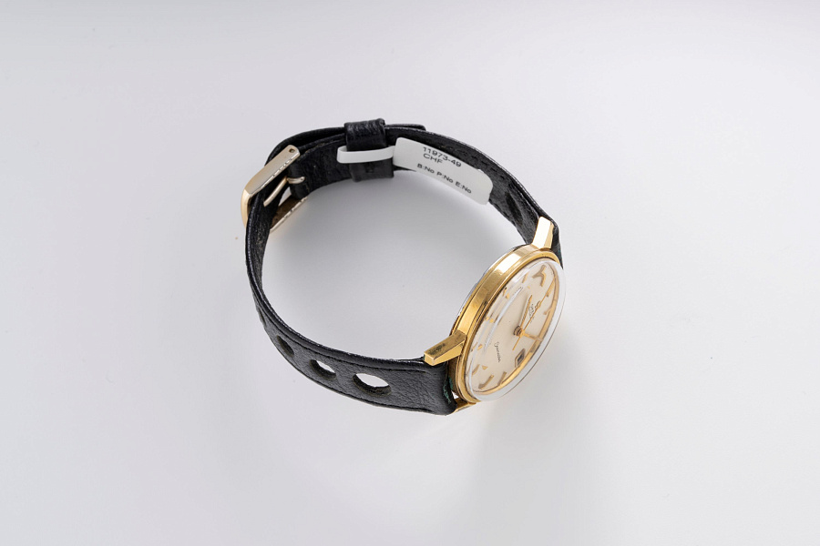 Seamaster Gold Plated