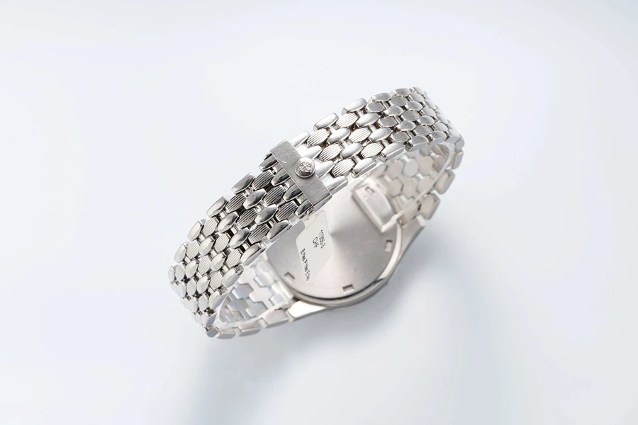 Neptune Ref. 5080/1A-011 in Stainless Steel