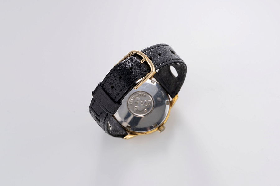 Seamaster Gold Plated