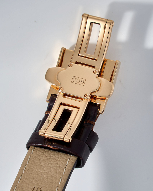 PanoMaticChrono Automatic