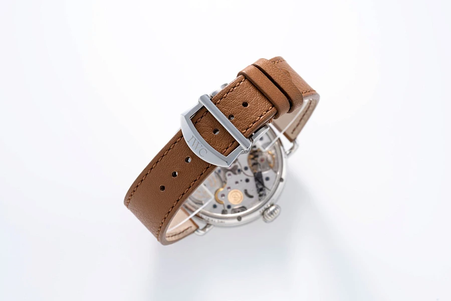 Pallweber Enamel Dial Ref. IW505003 in Stainless Steel