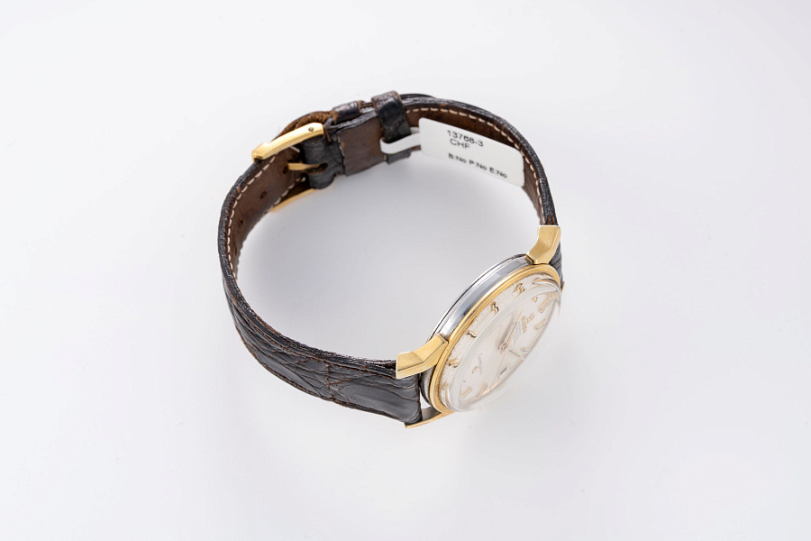 Constellation 'Gold-Capped'