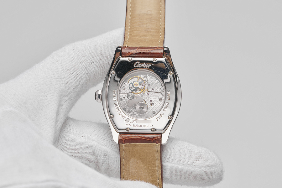 Tortue CPCP Collection Prive