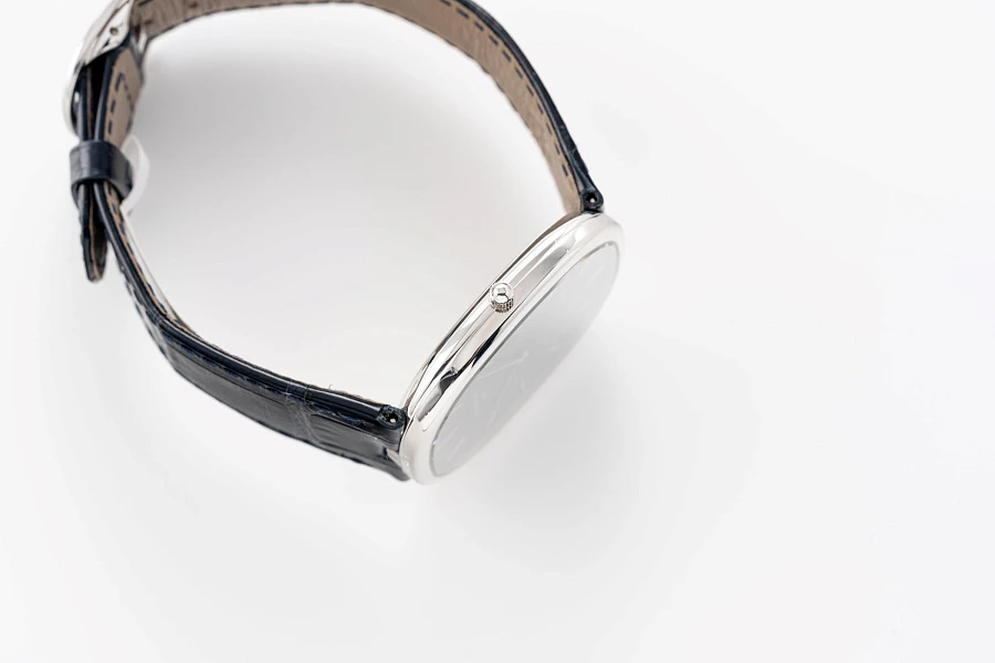 Ellipse Ref. 5738 in Platinum