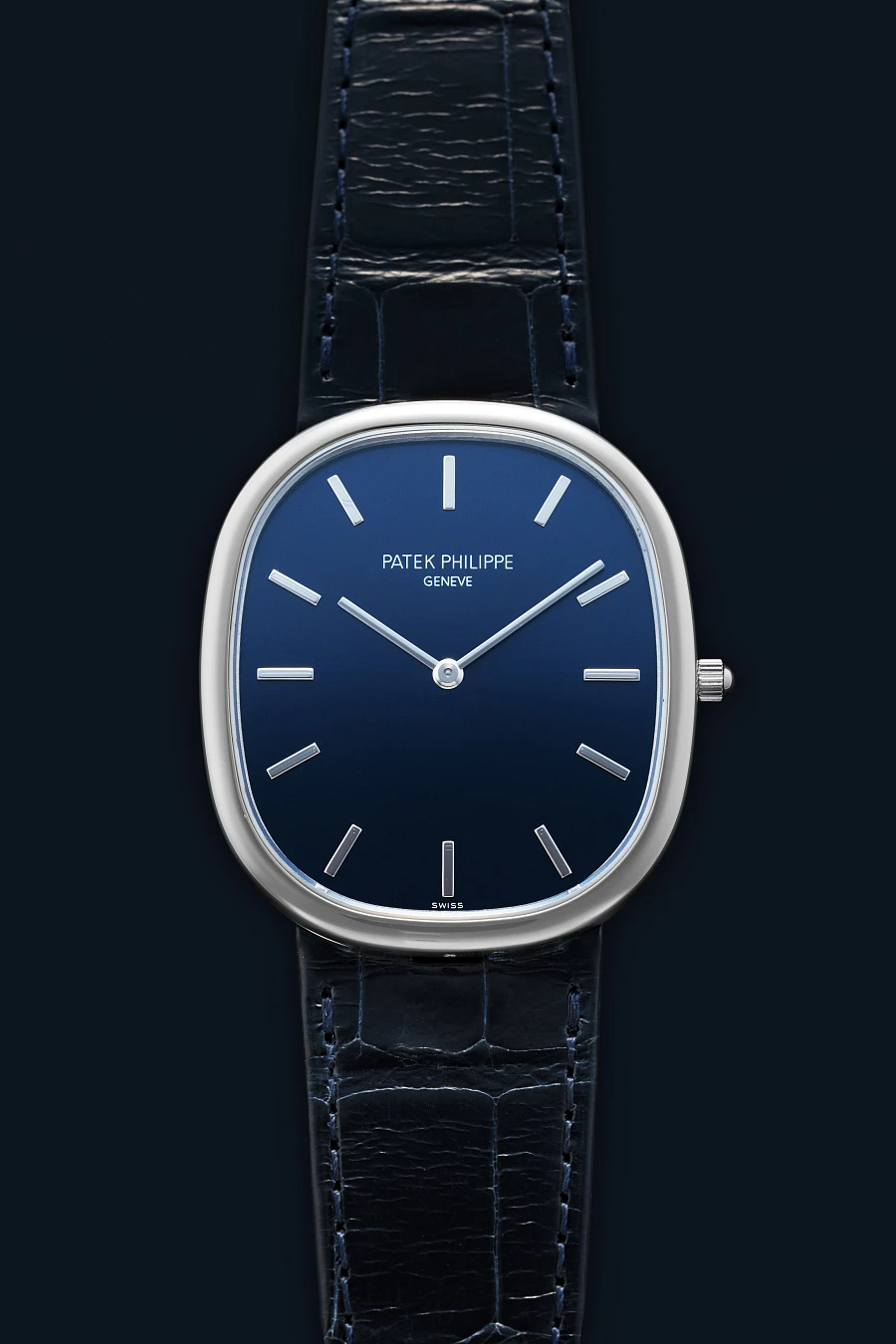 Ellipse Ref. 5738 in Platinum