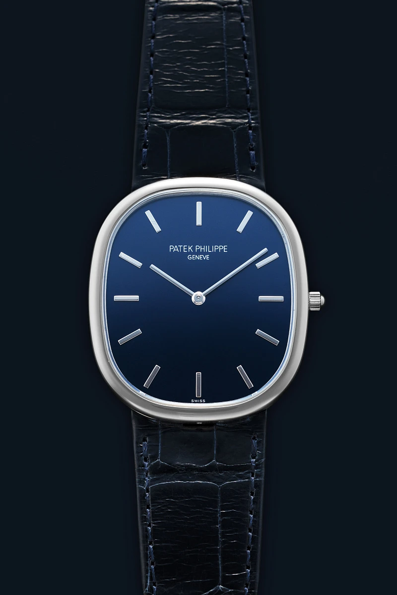 Ellipse Ref. 5738 in Platinum